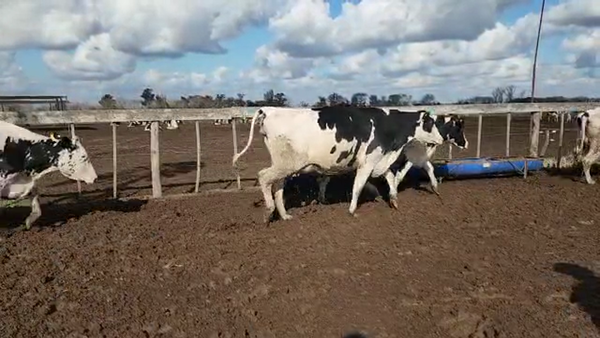 Lote Agrop. Don Bartolome