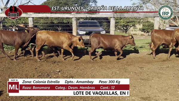 Lote EST. URUNDEY - CABAÑA BELLA ALIANZA