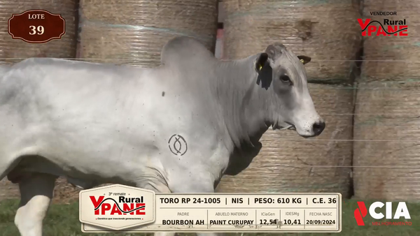 Lote Lote 39