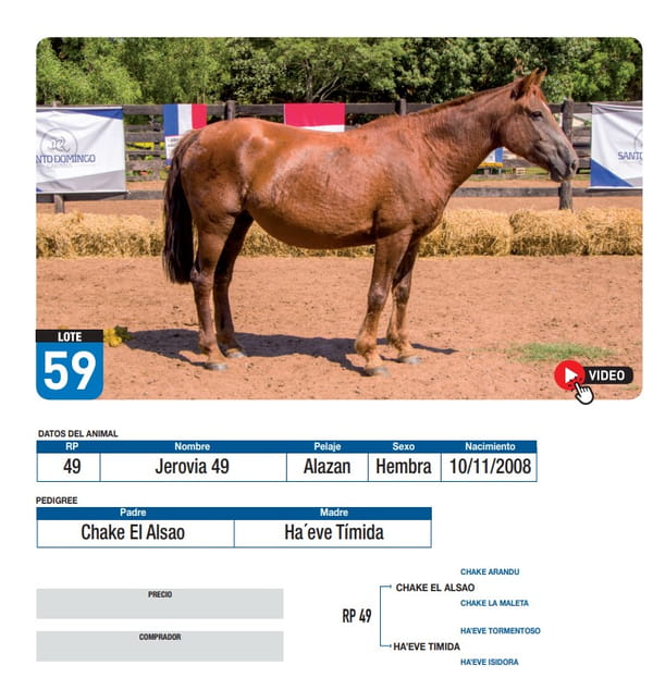 Lote Jerovia 49