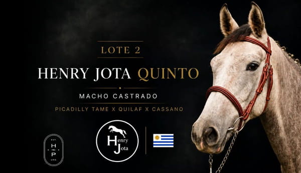 Lote HENRY JOTA QUINTO X PICADILLY TAME X QUILAF