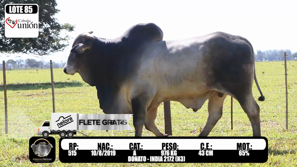 Lote LOTE   85 RP 515