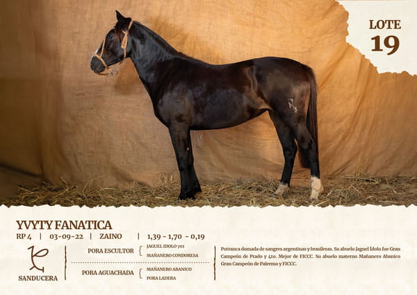 Lote YVYTY FANATICA