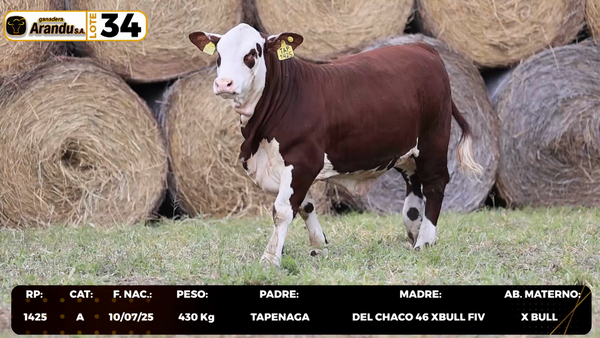Lote LOTE 34