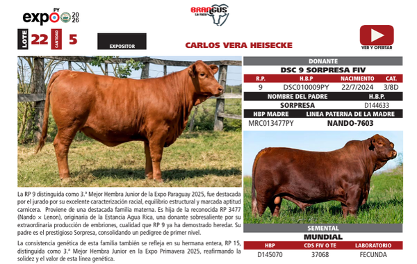 Lote LOTE 22