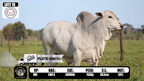 Lote LOTE 70-  RP 551