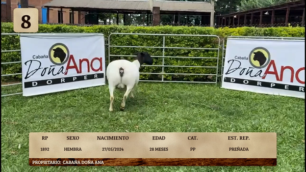 Lote LOTE 8