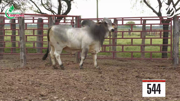 Lote Brahman