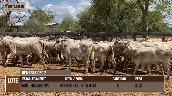 Lote ESTANCIA CABEZON  - LOTE 8