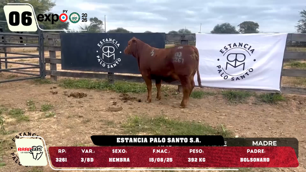 Lote LOTE 6