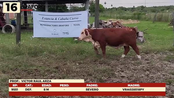 Lote LOTE 16