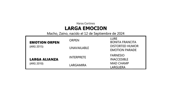 Lote LARGA EMOCION