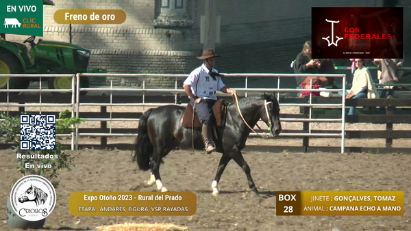 Lote CAMPANA ECHO A MANO - RODIGHERI, ANDRE
