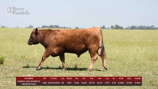 Lote PARDO 420 SECRETO REDEMPTION