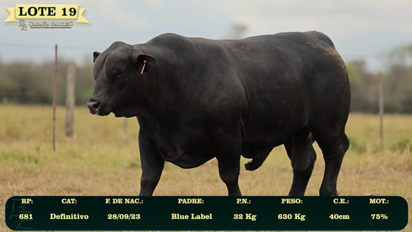 Lote LOTE 19