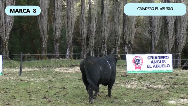 Lote 1 Toro en XI Región Aysén, Coyhaique