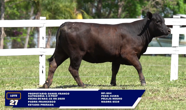 Lote LOTE 27