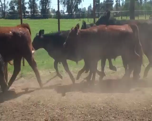 Lote ESTANCIA LA  JOSEFINA