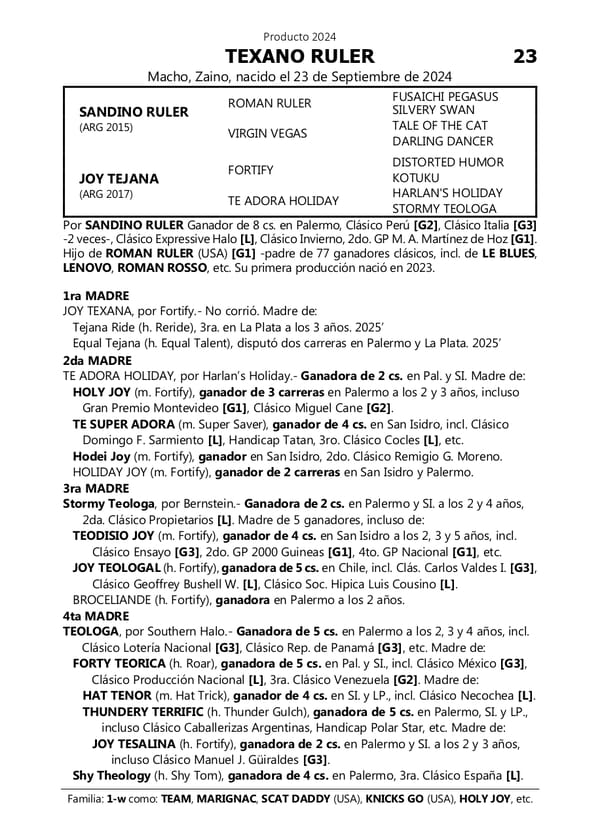 Lote TEXANO RULER (SANDINO RULER -  JOY TEJANA)
