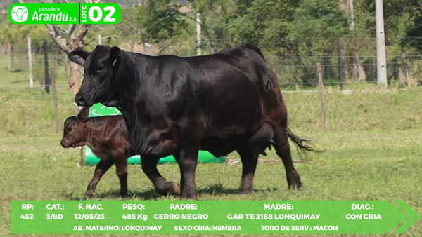 Lote LOTE 2