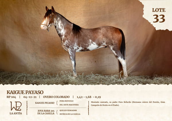 Lote KAIGUE PAYASO