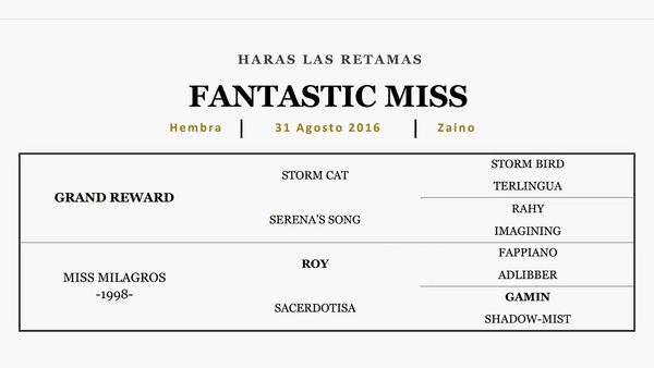 Lote FANTASTIC MISS (GRAND REWARD - MISS MILAGROS)