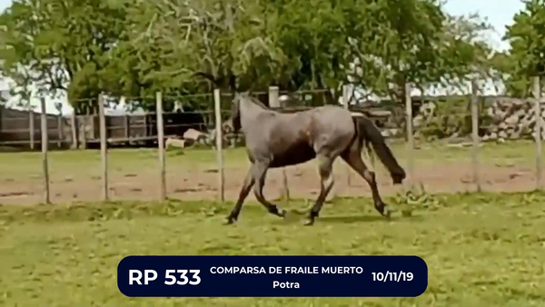 Lote COMPARSA DE FRAILE MUERTO