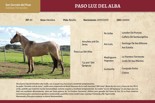 Lote Paso Luz Del Alba (RP) - Cabaña San Germán del Paso”