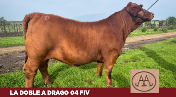 Lote La Doble A