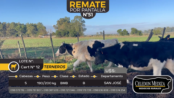 Lote 5 Terneros en San José , San José