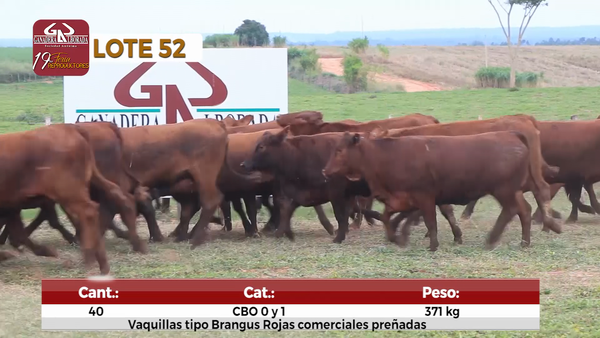 Lote Reproductores de Alborada - Lote 52