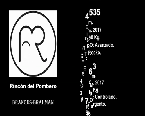 Lote CABAÑA "RINCON DEL POMBERO" RP763