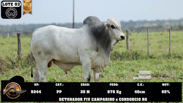 Lote LOTE 3
