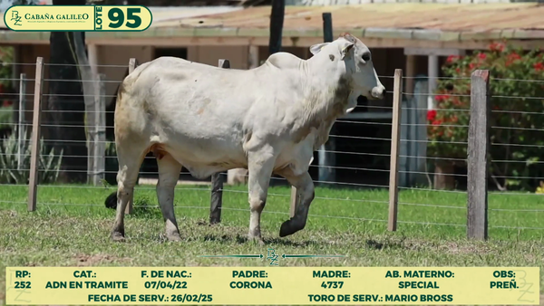 Lote LOTE 95