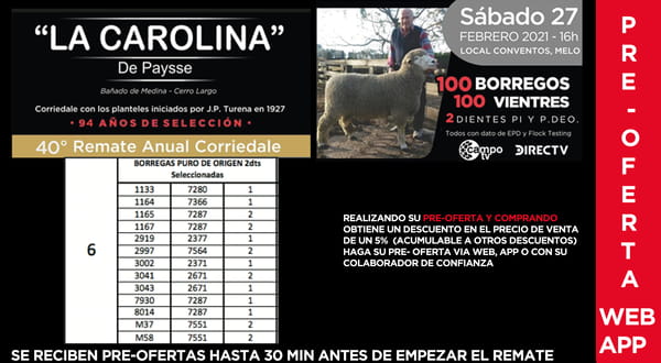 Lote 13 Borregas en Cerro Largo, Cerro Largo