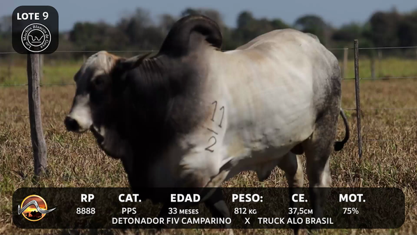 Lote LOTE 9