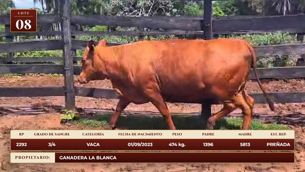 Lote LOTE 8