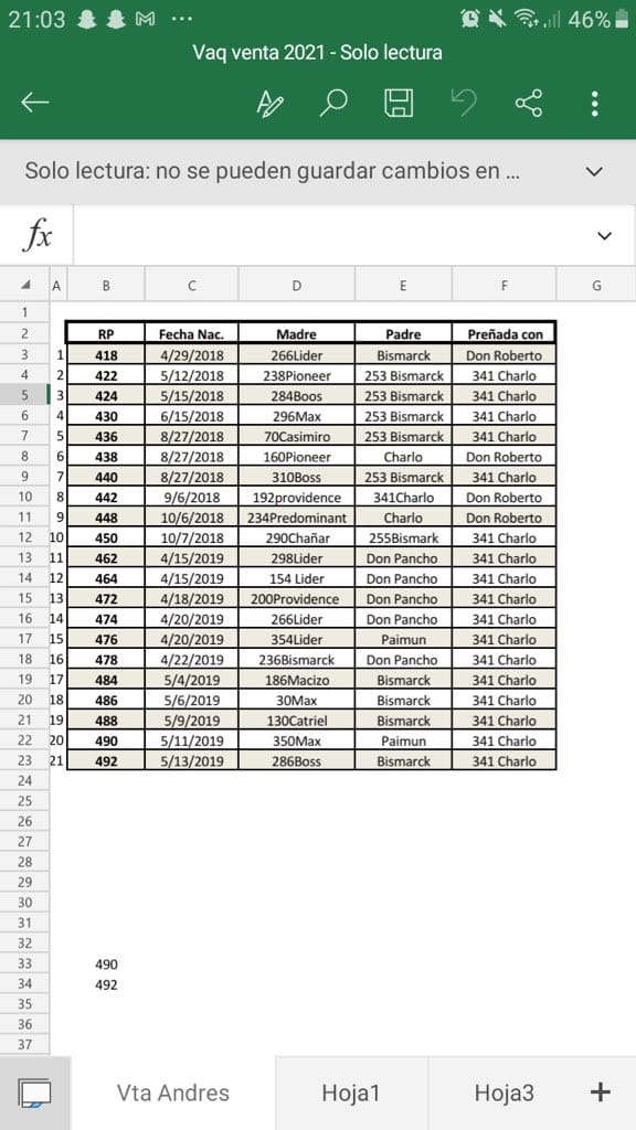 Lote 24 Vaquillonas en Buenos Aires, Gral. Belgrano