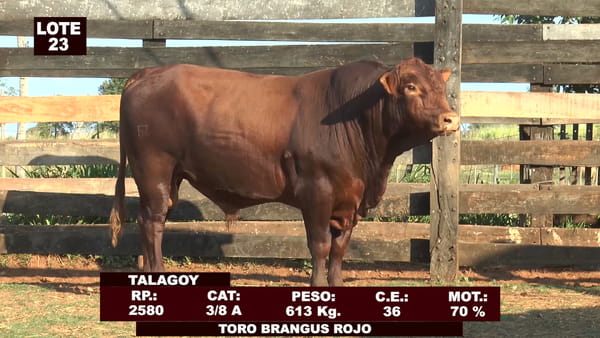 Lote Cabañas de Tradición - Lote 23