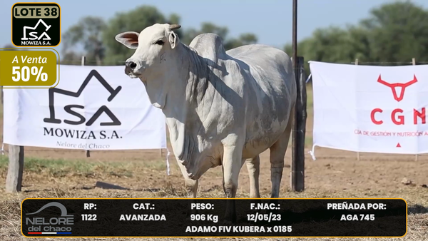 Lote LOTE 38 SALE A VENTA EL 50%