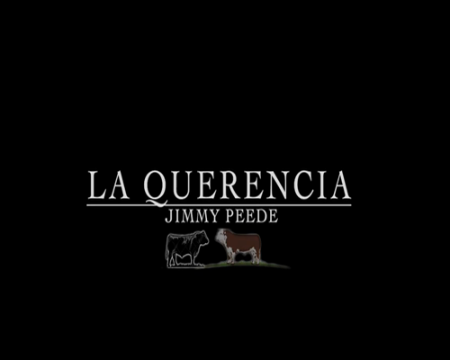 Lote 1 Toro en Coyhaique, XI Región Aysén