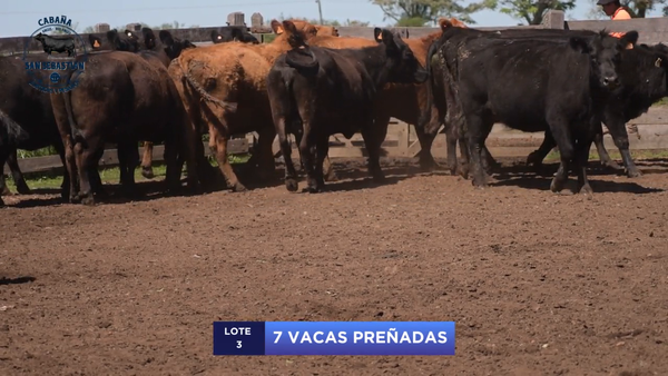 Lote Lote 3 - San Sebastian