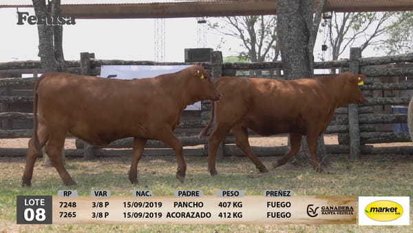 Lote Ganadera Santa Cecilia - Lote 8