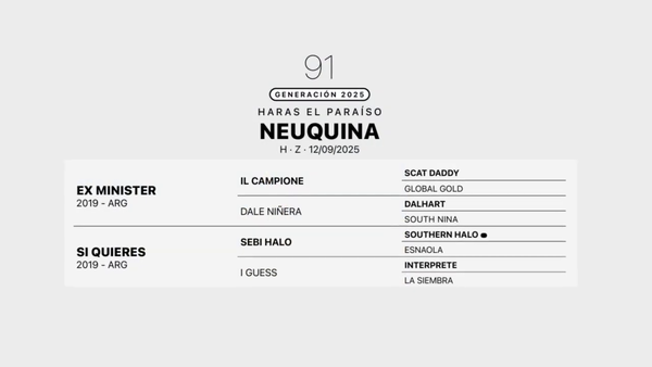 Lote NEUQUINA