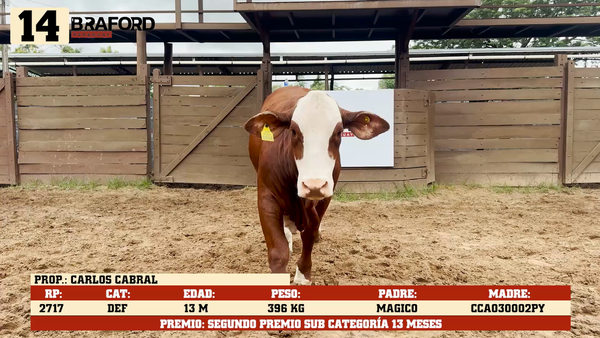 Lote LOTE 14