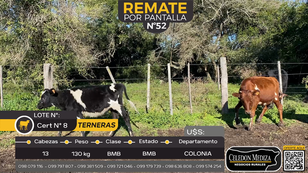 Lote 13 Terneras en Artilleros, Colonia