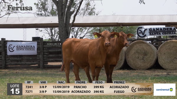 Lote Ganadera Santa Cecilia - Lote 15