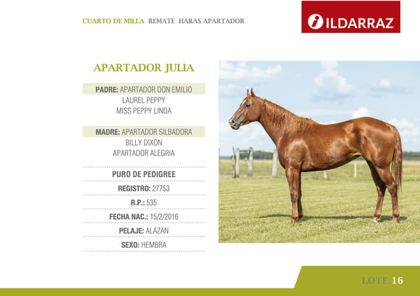 Lote APARTADOR JULIA