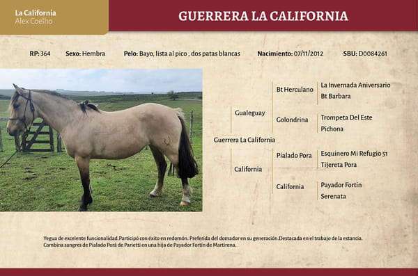 Lote Guerrera La California (RP 364) - Cabaña La California