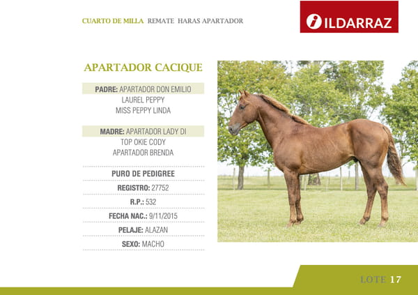 Lote APARTADOR CACIQUE